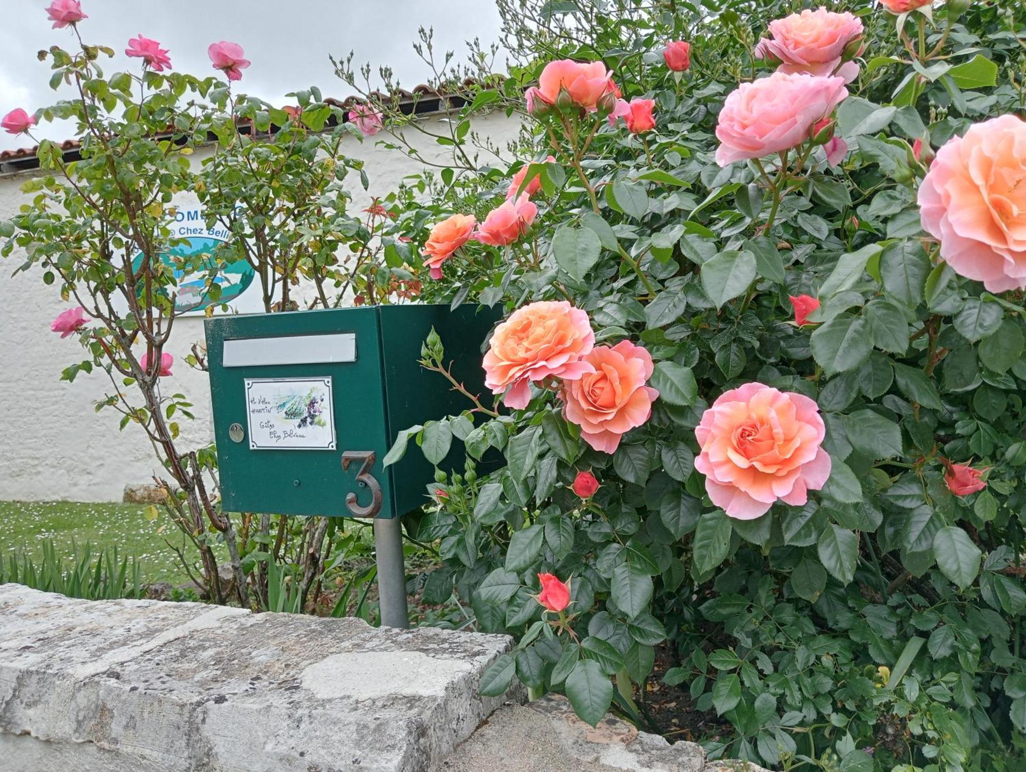 Gites Chez Belliveau Meursac Екстериор снимка